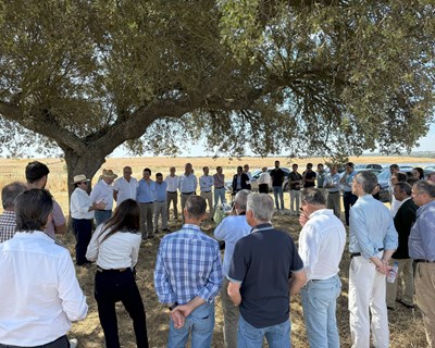 Clube Português dos Cereais de Qualidade celebra 25 anos com presença do Ministro da Agricultura