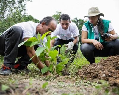 CNA: Agricultura está longe de ser um "Oásis"