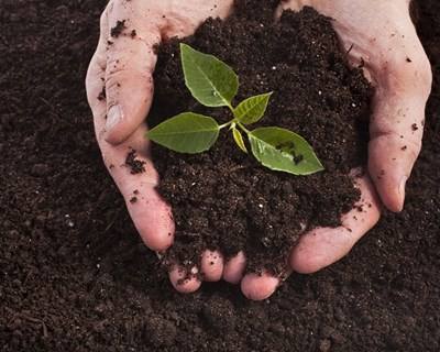 CNA defende nova política florestal e agroalimentar