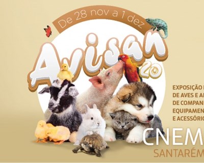 CNEMA anuncia cancelamento da Avisan 2020