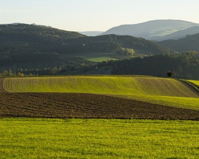 Coimbra discute "uso sustentável dos pesticidas"