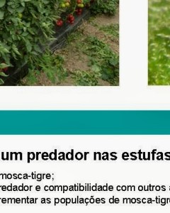 Colóquio – Culturas Protegidas