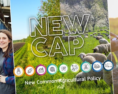 Comissão Europeia marca o início da nova PAC a 1 de janeiro de 2023