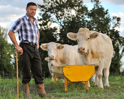 "Concentração pelo Mundo Rural" acontece a 5 de junho em Lisboa
