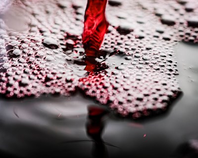 Concurso de Vinhos de ex-alunos da ESAS com 110 vinhos a concurso