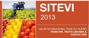 Conferência de Imprensa do SITEVI, em Lisboa