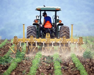 Conferência sobre agricultura, alimentação e clima acontece em fevereiro