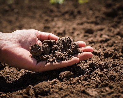 Conheça o Projeto H2020 "SOILGUARD"