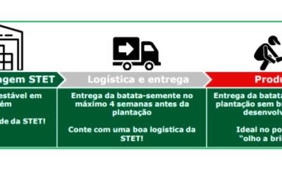 Conselhos sobre encomenda e entrega de batata-semente