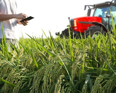 Consórcio ambiciona um futuro digital, inteligente e sustentável para a cadeia agroalimentar