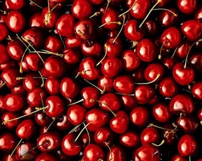 Alfândega da Fé cede terrenos para Jovens Agricultores produzirem Cereja