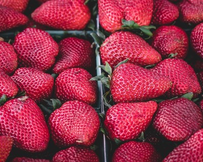 Cooperativa de frutas inglesas trabalha na primeira "quinta robótica" do mundo