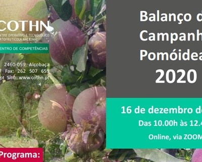 COTHN realiza balanço da campanha de pomóideas em 2020