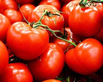 Crédito Agrícola e Inovisa promovem Ateliers de Inovação
