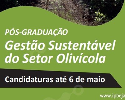 Criada Pós-Graduação "Gestão Sustentável do Setor Olivícola"