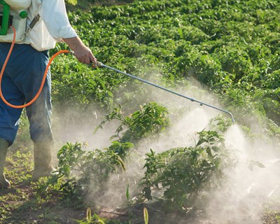 Curso de atualização do cartão de aplicação de produtos fitofarmacêuticos