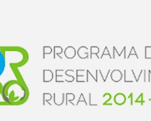 Curso Prático de Preparação de Candidaturas ao PDR