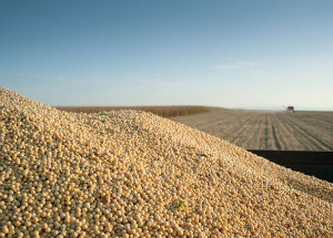 Défice da Balança Comercial Agrícola cresce 39 milhões de euros