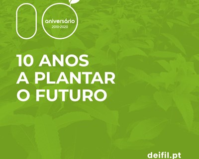 Deifil: 10 anos a plantar o futuro