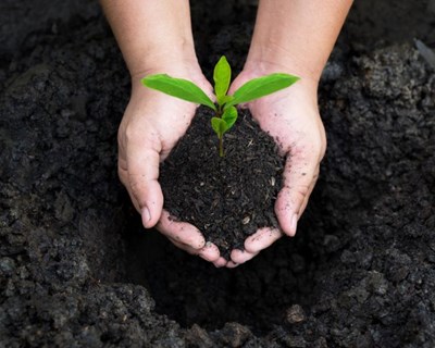 Descubra os mistérios do Solo na 2ª Edição da EIT Food RIS Inspire HealthySoil4Life Summer School