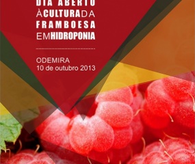 “Dia Aberto à Cultura da FRAMBOESA EM HIDROPONIA”