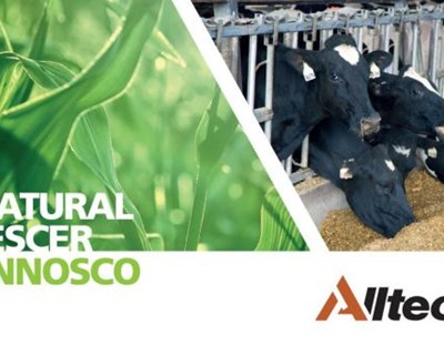Dia aberto ALLTECH na Póvoa de Varzim