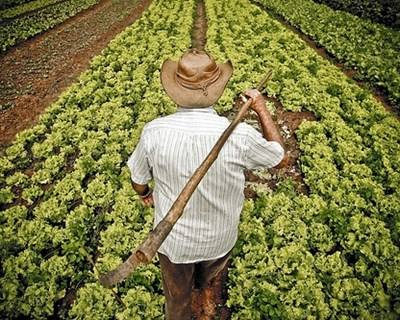 Dia do Agricultor em Elvas