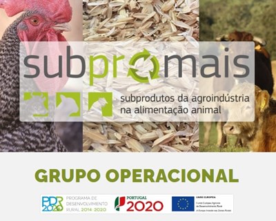 Disponível online a primeira tabela portuguesa sobre composição química e valor nutricional de subprodutos