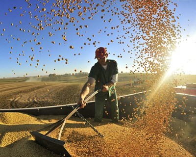 Disputa entre China e EUA pode levar Brasil a ter de importar soja