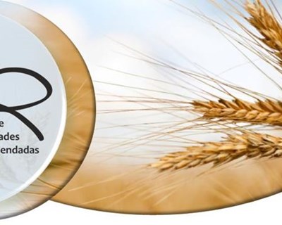 Divulgada Lista Variedades Recomendadas Trigo Duro 2021/2022