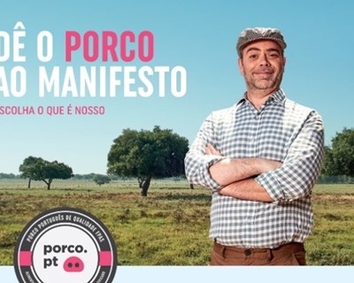 Doenças na Pecuária: novas realidades