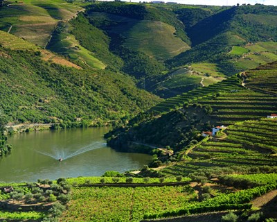 Douro é Cidade Europeia do Vinho 2023