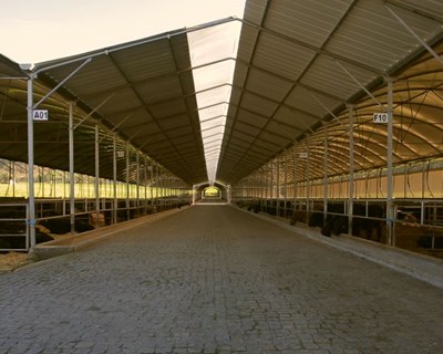 É preciso dar dimensão ao agroalimentar