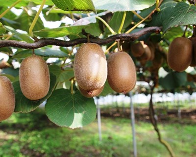 Secretário de Estado da Agricultura e do Desenvolvimento Rural visita região Norte