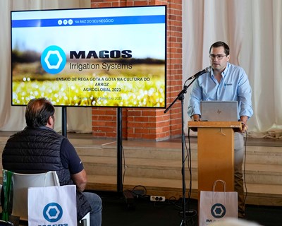 Ensaio de rega gota-a-gota na cultura do arroz na Agroglobal prova que é viável produzir arroz em novas áreas agrícolas
