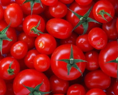 Entrega de prémios Intermarché Produção Nacional” a 2 de outubro