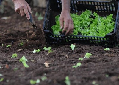 ESAC e New Organic Planet estabelecem parceria