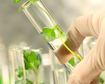 Espanha é palco de conferência internacional sobre produção de plantas na Europa