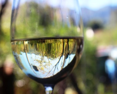 Estados Unidos da América soma cinco anos como maior consumidor mundial de vinho