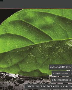 Estévia é tema central da próxima AGROTEC