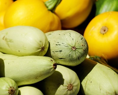 Estratégia de marketing dos produtos agro-biológicos e manual de boas práticas para os associados da minhorigem