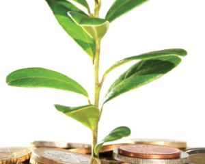 Estrutura do Financiamento de Projetos Agrícolas em Momentos de Crise