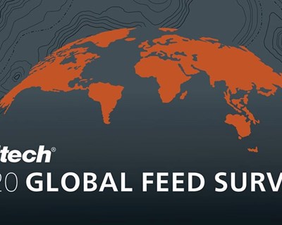 Estudo da Alltech revela que produção mundial de rações para animais está pela primeira vez em quebra desde 2010
