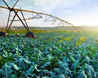 UE aponta fragilidades da Agricultura Portuguesa