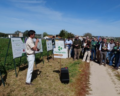 Evento em Coruche destaca impacto positivo das interculturas para o milho e culturas horto-industriais