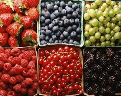 Expectativas Elevadas para o Mercado dos Pequenos Frutos