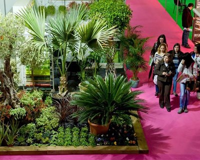 EXPOJARDIM E URBAN GARDEN unem-se para iniciativa conjunta