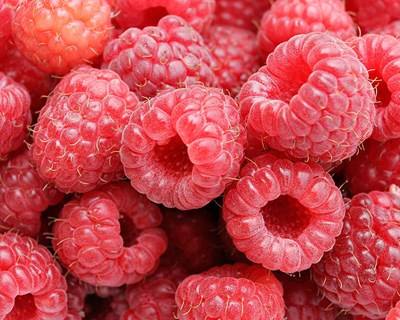 Exportações de frutos vermelhos destronaram as de pera rocha em 2015