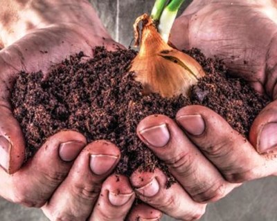 Exportações do agroalimentar fecham o ano de 2020 a crescer