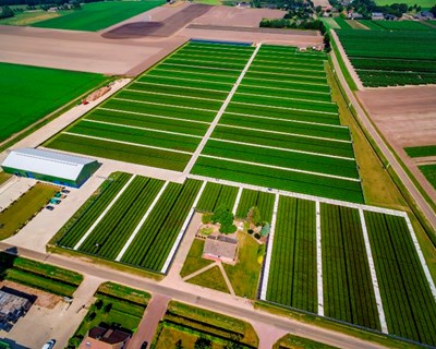 Fall Creek Farm & Nursery compra a Driesvenplant